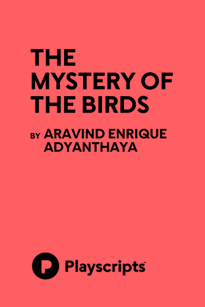 The Mystery of the Birds